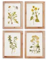 Napa Home & Garden Golden Wildflower Study Set