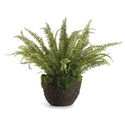 Napa Home & Garden Grand Boston Fern Drop-in In Green