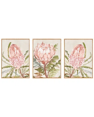 Napa Home & Garden Handmade Set Of 3 Queen Protea Giclees In Multi