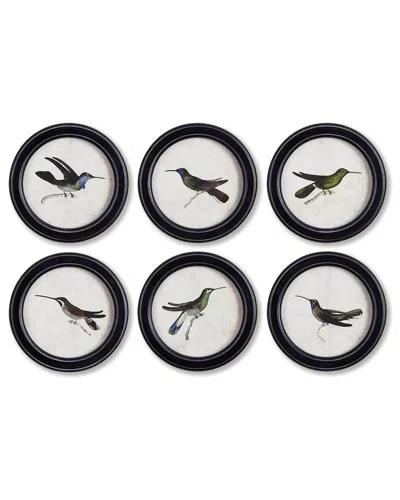 Napa Home & Garden Hummingbird Round Petite Prints