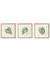 Napa Home & Garden Leaf Cuttings Petite Prints Set