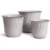 Napa Home & Garden Leilani Pots Set Of 3 In White