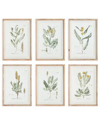 Napa Home & Garden Mid-summer Blooms Prints Set