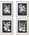 Napa Home & Garden Monochrome Botanical Prints Se