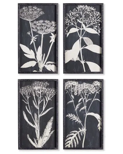 Napa Home & Garden Monochrome Queen Anne's Lace