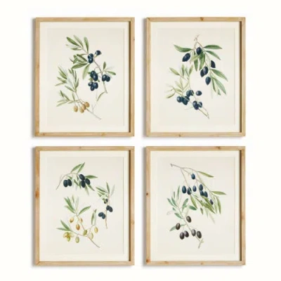 Napa Home & Garden Olive Stems Study Set Of 4 In Multi