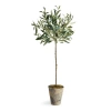 Napa Home & Garden 30in Olive Tree Potted In Multi