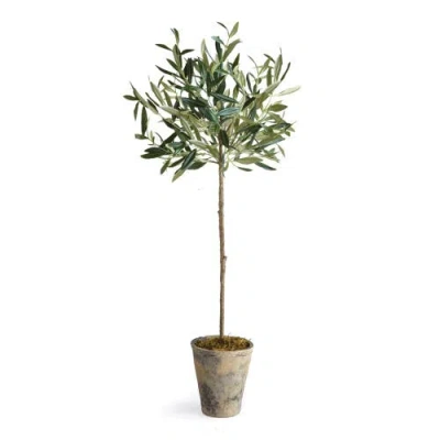 NAPA HOME & GARDEN NAPA HOME & GARDEN OLIVE TREE POTTED 30"