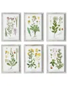 Napa Home & Garden Perennial Botanical Study Set