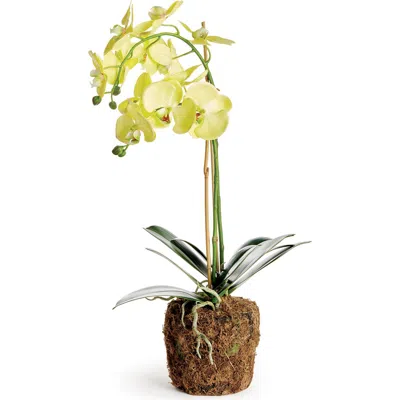 Napa Home & Garden Phalaenopsis Orchid Artificial Plant Drop-in In Multi