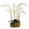 Napa Home & Garden Phalaenopsis Orchid Bowl Drop-in 35" In White