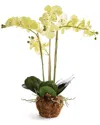 Napa Home & Garden Phalaenopsis Orchid Drop-in In Yellow