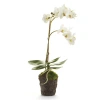 Napa Home & Garden Phalaenopsis Orchid Faux (fake) Drop-in 17" In White