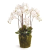 Napa Home & Garden 36in Phalaenopsis Drop-in In White