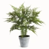 Napa Home & Garden Plumosa Fern Artificial Plant Drop-in In Green