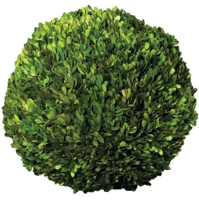 Napa Home & Garden 16in Ball