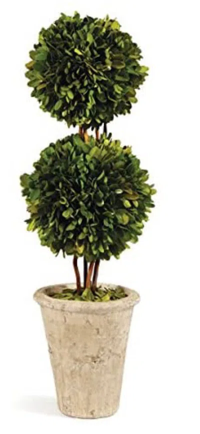 Napa Home & Garden Preserved Boxwood Double Sphere Topiary, 20-inch In Pink