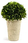 Napa Home & Garden Three Quarter Ball In Tom Pot