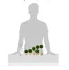 Napa Home & Garden Preserved Boxwood Topiaries, Mini, Set Of 5