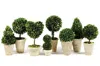 Napa Home & Garden Set Of 8 Topiaries
