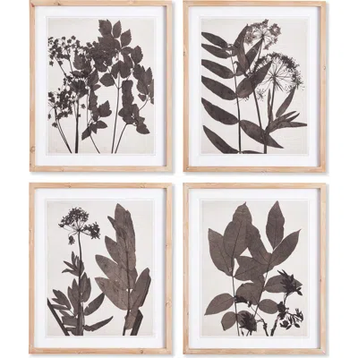 Napa Home & Garden Pressed Foliage Plant Art Prints With Light Wood Frame Set Of 4 In Multi