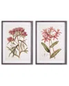 Napa Home & Garden Pretty In Pink Vintage Prints Set