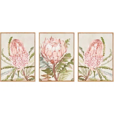 Napa Home & Garden Queen Protea Giclees, Set Of 3 In Pink