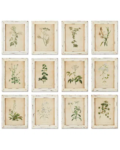 Napa Home & Garden Set Of 12 Framed Wild Flower Botanical Prints