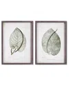 Napa Home & Garden Set Of 2 Cordate Leaf Study