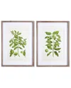 Napa Home & Garden Set Of 2 Guava Prints