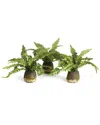 Napa Home & Garden Set Of 3 Boston Fern Drop-ins In Green