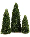 Napa Home & Garden Set Of 3 Cones No Pots 12in To 20in