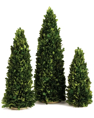 Napa Home & Garden Set Of 3 Cones No Pots 12in To 20in