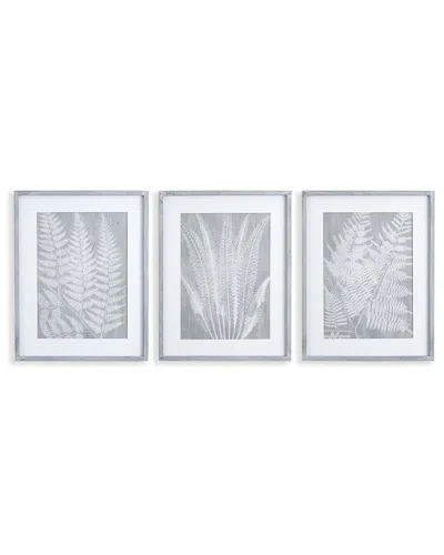 Napa Home & Garden Set Of 3 Fern Frond Prints