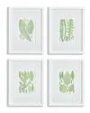 Napa Home & Garden Set Of 4 Assorted Leaf Prints In Green