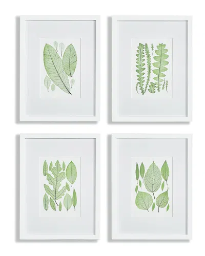 Napa Home & Garden Set Of 4 Assorted Leaf Prints In Green
