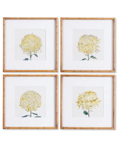 Napa Home & Garden Set Of 4 Chrysanthemum Prints
