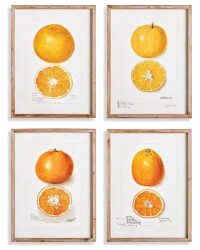 Napa Home & Garden Set Of 4 Citrus Study In Beige