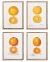 Napa Home & Garden Set Of 4 Citrus Study In Beige