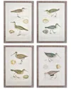 Napa Home & Garden Set Of 4 Coastal Birds Study