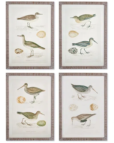 Napa Home & Garden Set Of 4 Coastal Birds Study