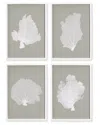 Napa Home & Garden Set Of 4 Coral Fans Study Prints