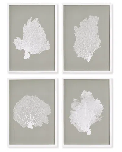 Napa Home & Garden Set Of 4 Coral Fans Study Prints