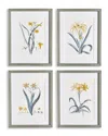 Napa Home & Garden Set Of 4 Daffodil Prints In Yellow