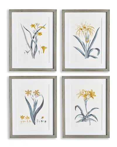 Napa Home & Garden Set Of 4 Daffodil Prints In Yellow