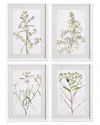 Napa Home & Garden Set Of 4 Daisy Prints