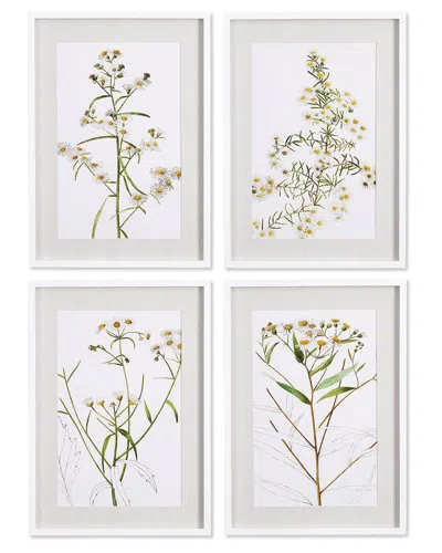 Napa Home & Garden Set Of 4 Daisy Prints