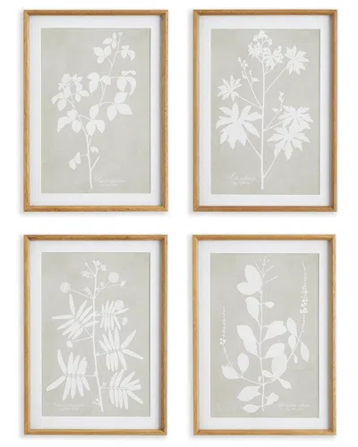 Napa Home & Garden Set Of 4 Foliage Study Prints