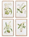 Napa Home & Garden Set Of 4 Orchid Assortment Study In Beige