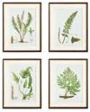 Napa Home & Garden Set Of 4 Structural Fern Study